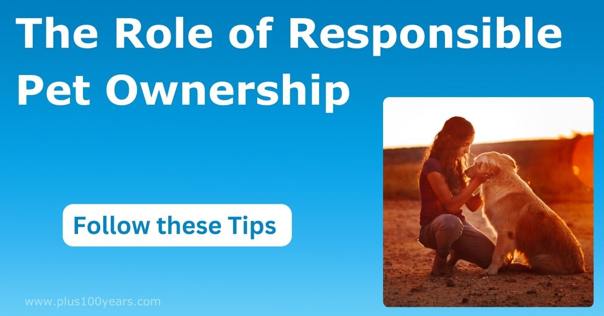 The Role of Responsible Pet Ownership
