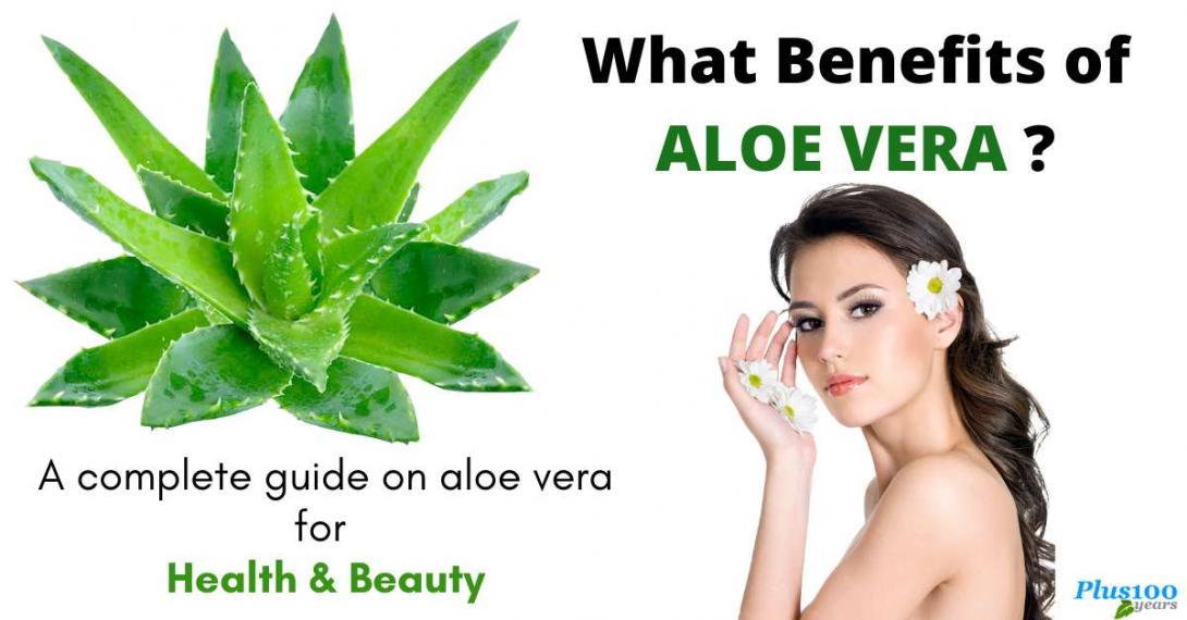 What Benefits Of Aloe Vera Guide On Aloe Vera For Health And Beauty 2318