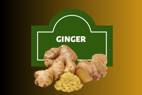 ginger 