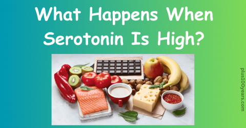 What Happens When Serotonin Is High?