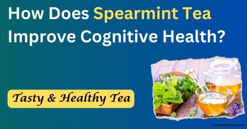 How Does Spearmint Tea Improve Cognitive Health