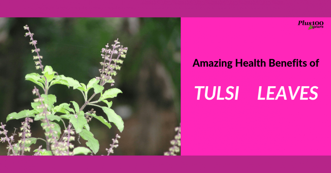 tulsi leaves benefits