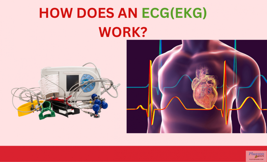 how-does-an-ecg-ekg-work