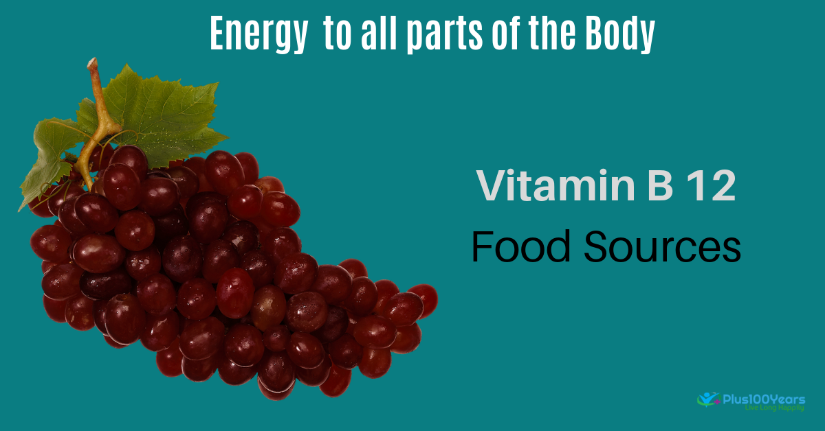 top 10 sources of vitamin b 12 