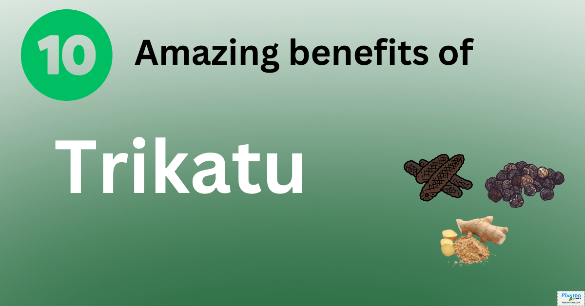 What Are The Amazing Health Benefits Of Trikatu