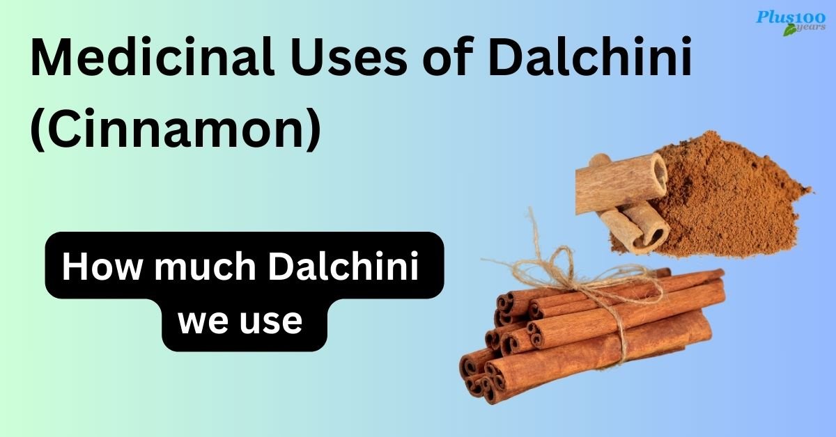 Medicinal Uses of Dalchini (Cinnamon)