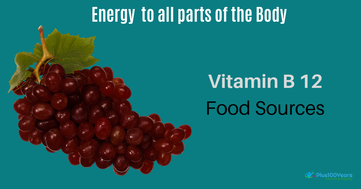 top 10 sources of vitamin b 12